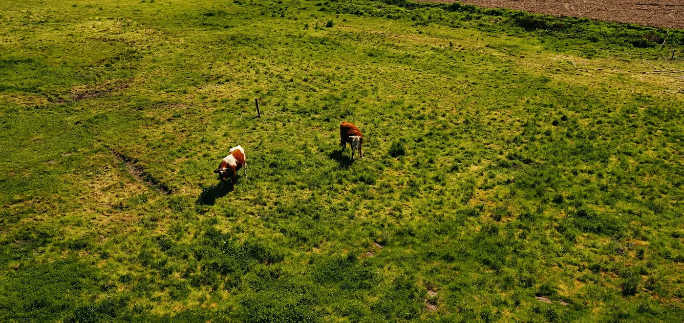 Praderas del entorno rural de Rapel